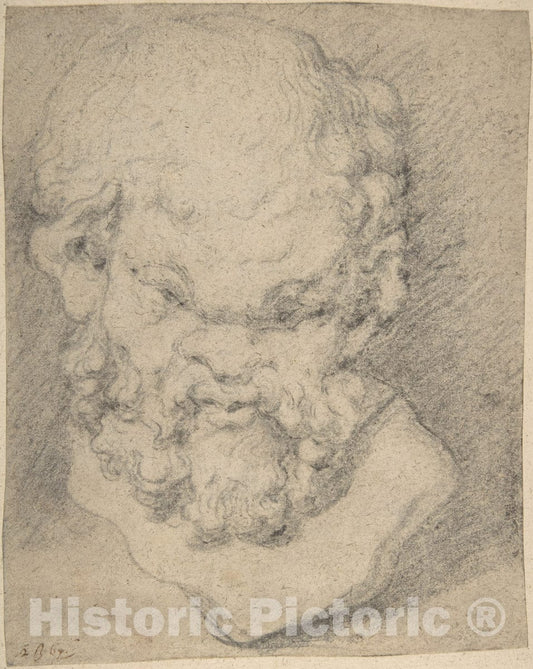 Art Print : Circle of Peter Paul Rubens - Head of Silenus : Vintage Wall Art