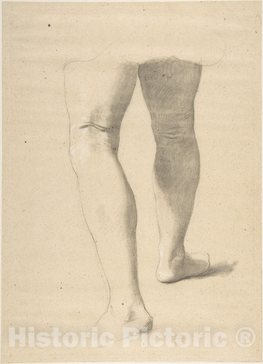 Art Print : British, 19th Century - Study of Legs 2 : Vintage Wall Art