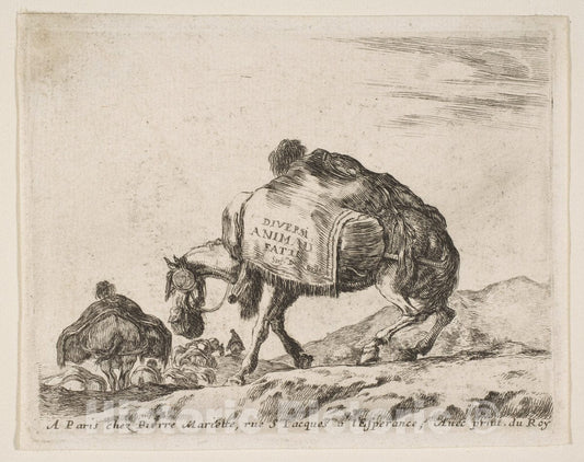 Art Print : Stefano Della Bella - Frontispiece for Diversi Animali: Pack Horse : Vintage Wall Art
