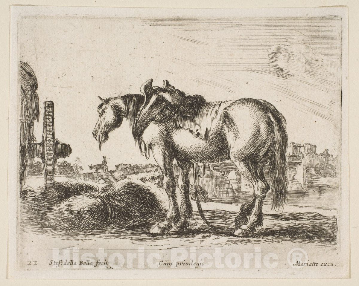 Art Print : Stefano Della Bella - Plate 22: cart Horse, from 'Various Animals' (Diversi animali) : Vintage Wall Art