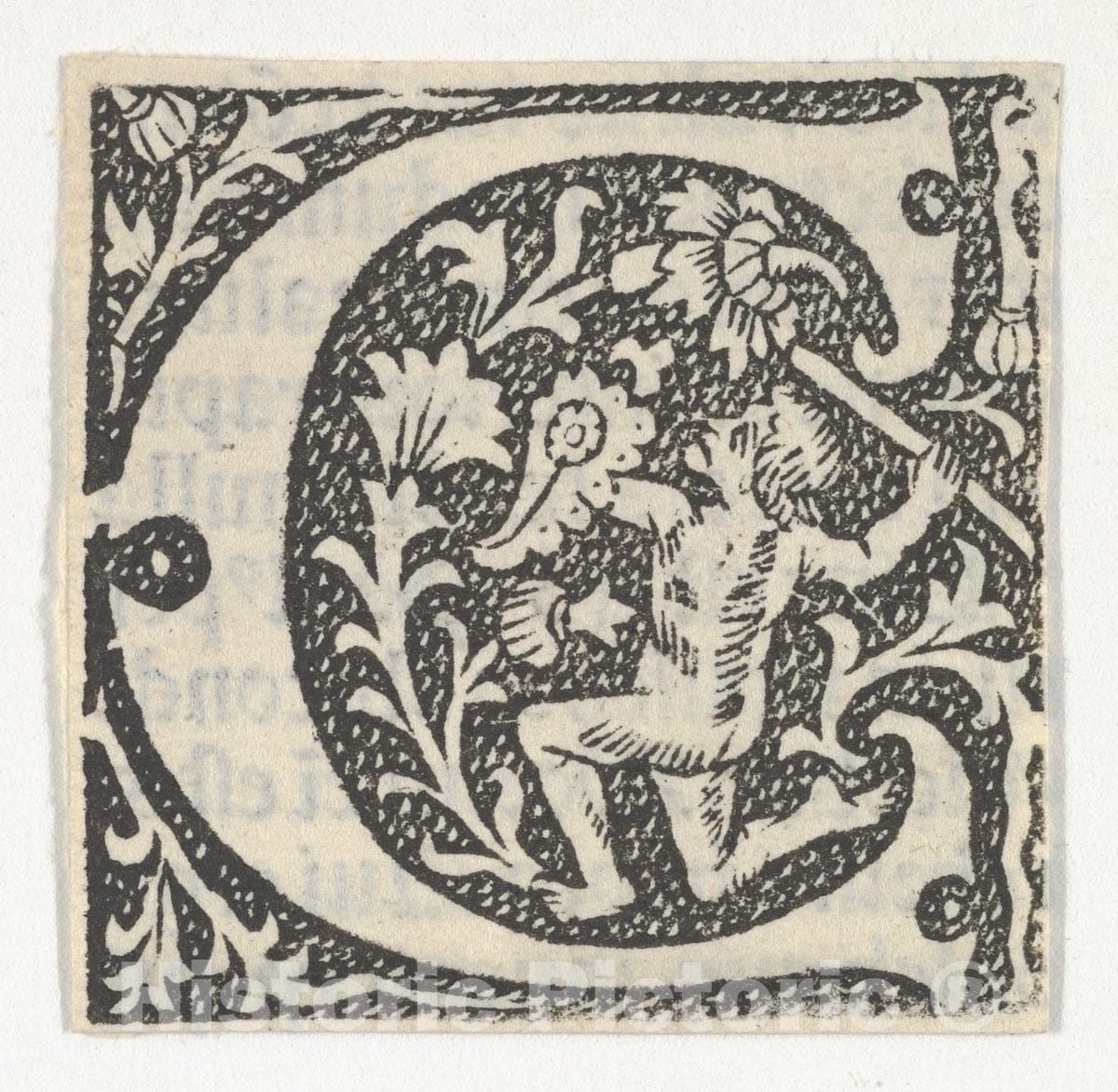 Art Print : Anonymous, French, 15th Century - Decorated Roman Alphabet - 430636 : Vintage Wall Art