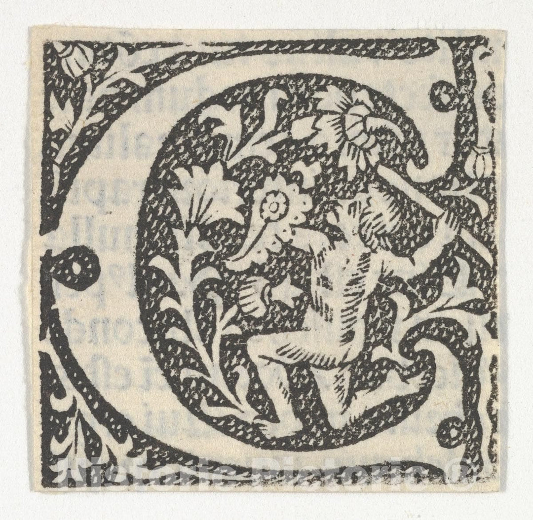 Art Print : Anonymous, French, 15th Century - Decorated Roman Alphabet - 430636 : Vintage Wall Art