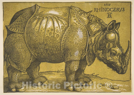 Art Print : Albrecht Dürer - The Rhinoceros 2 : Vintage Wall Art