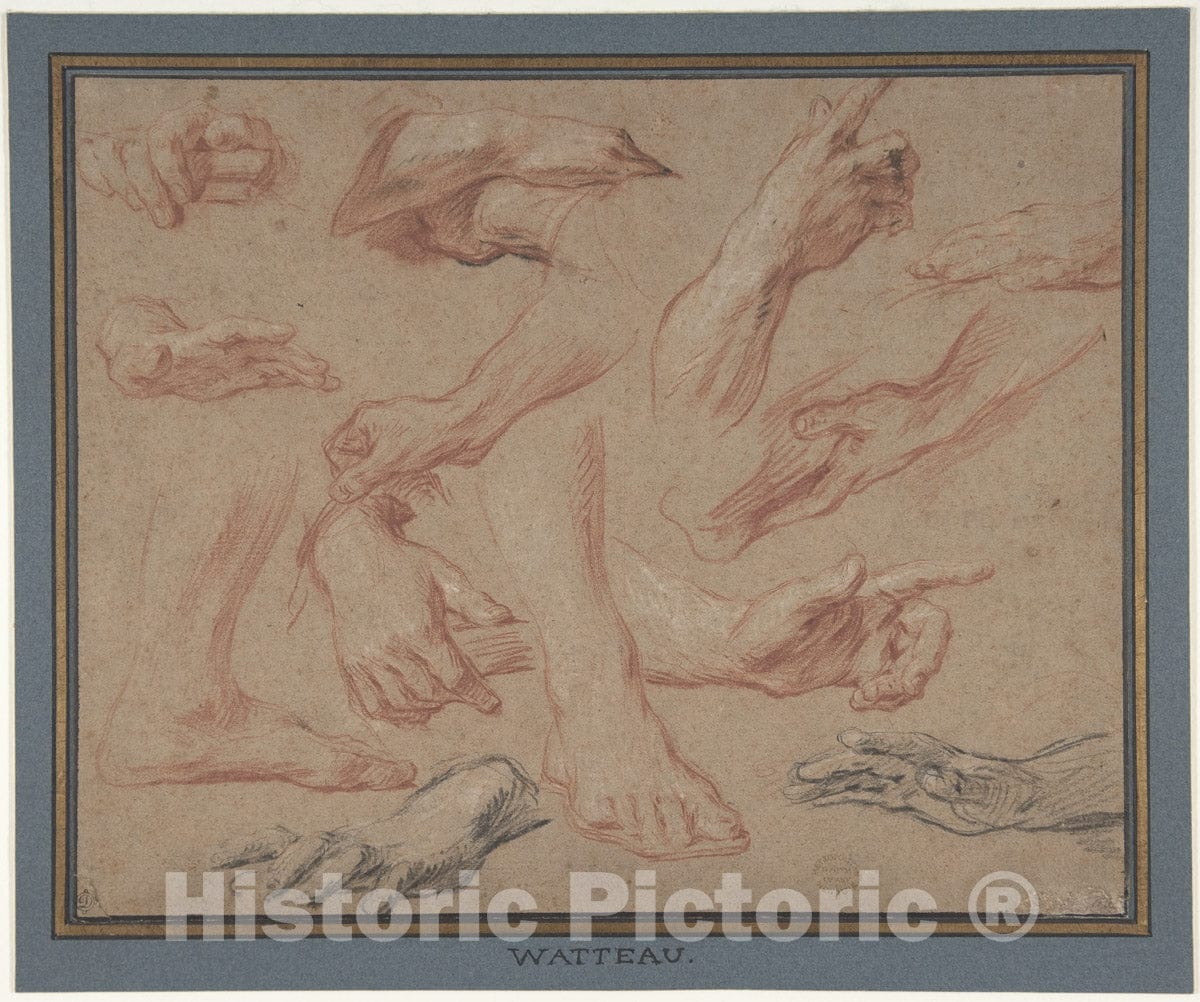 Art Print : François Le Moyne - Studies of Hands and Feet : Vintage Wall Art