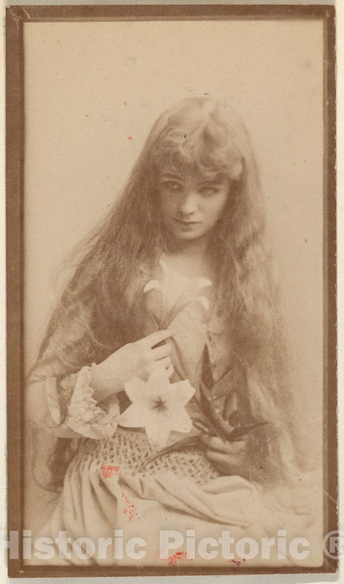 Photo Print : Actress with Long Hair Seated with Flower on Lap, from The Actresses Series (N668) : Vintage Wall Art