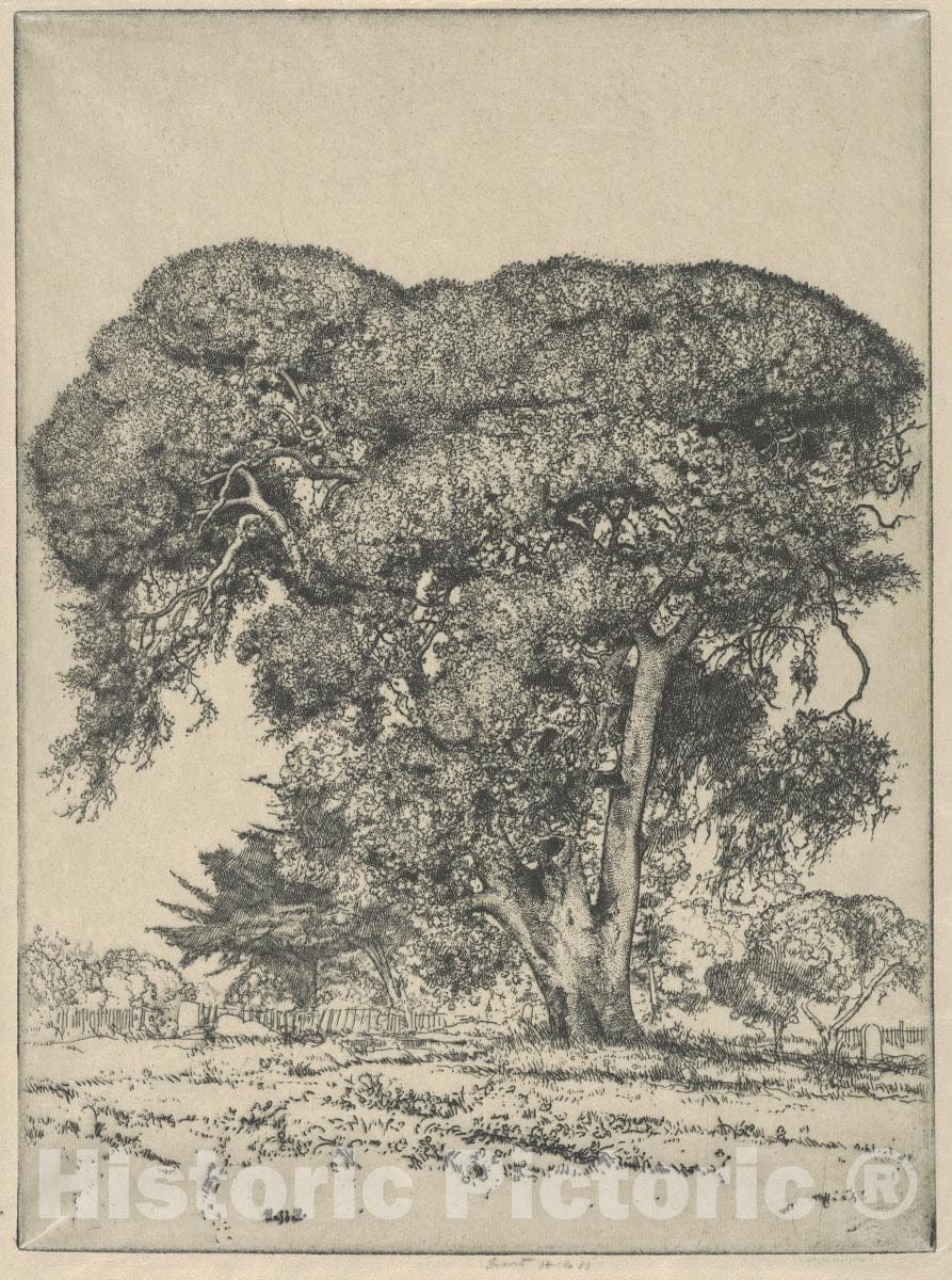Art Print : Ernest Haskell - Cemetery Live Oak : Vintage Wall Art
