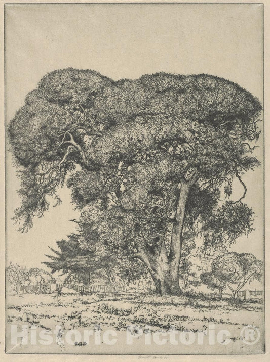 Art Print : Ernest Haskell - Cemetery Live Oak : Vintage Wall Art