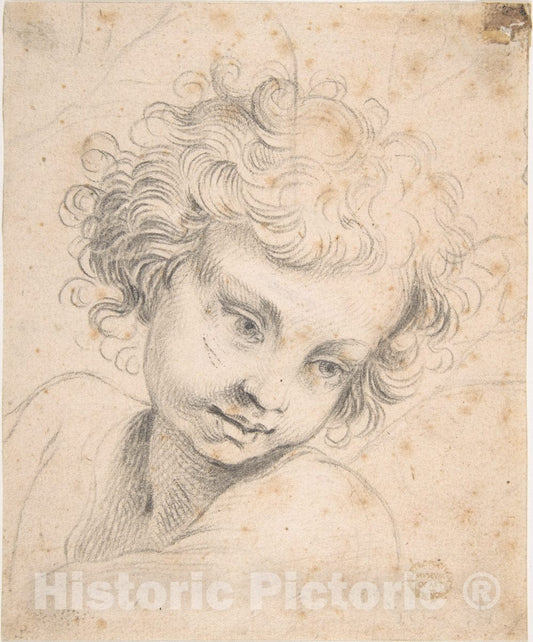 Art Print : Italian, Roman-Bolognese, 17th Century - Head of a Child, Copy of Engraving by Luca Ciambulano : Vintage Wall Art