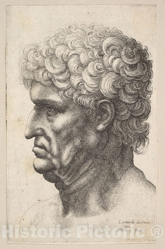 Art Print : Wenceslaus Hollar - Head of a Man with Thick Curly Hair in Profile to The Left : Vintage Wall Art