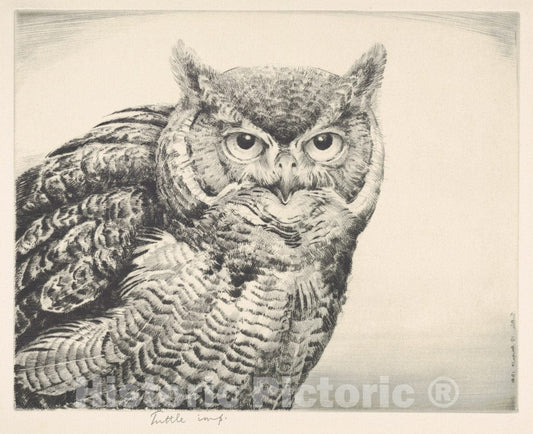 Art Print : Henry Emerson Tuttle - Great Horned Owl : Vintage Wall Art