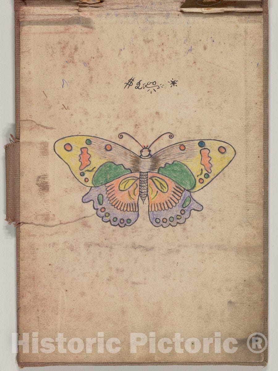 Art Print : Clark & Sellers - Tattoo Design for a Butterfly 2 : Vintage Wall Art