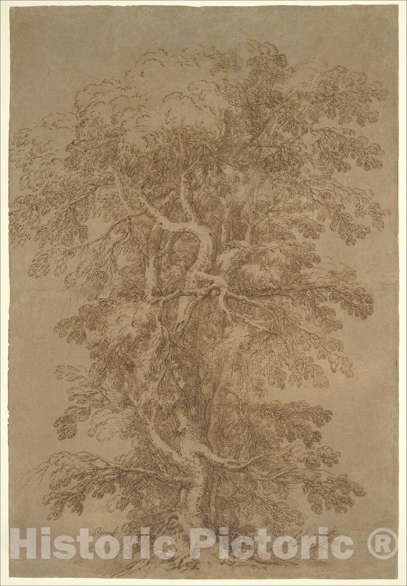 Art Print : Salvator Rosa - A Large Tree : Vintage Wall Art