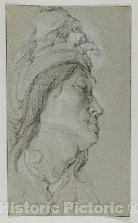 Art Print : Lucas Franchoys The Younger - Head Studies of A Young Man Wearing a Hat and of a Black Man : Vintage Wall Art