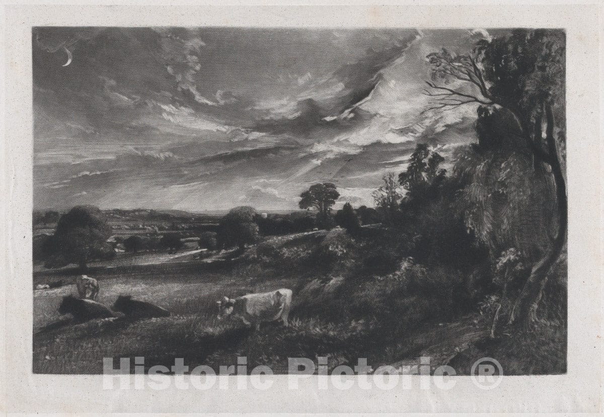 Art Print : David Lucas - Summer Evening - 431352 : Vintage Wall Art