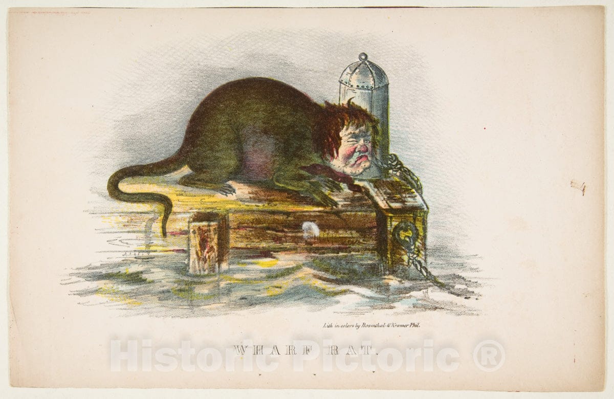 Art Print : Henry Louis Stephens - Wharf Rat, from The Comic Natural History of The Human Race : Vintage Wall Art