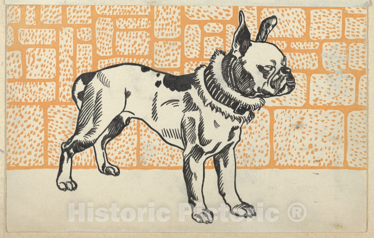Art Print : Moriz Jung - Pitbull Terrier : Vintage Wall Art
