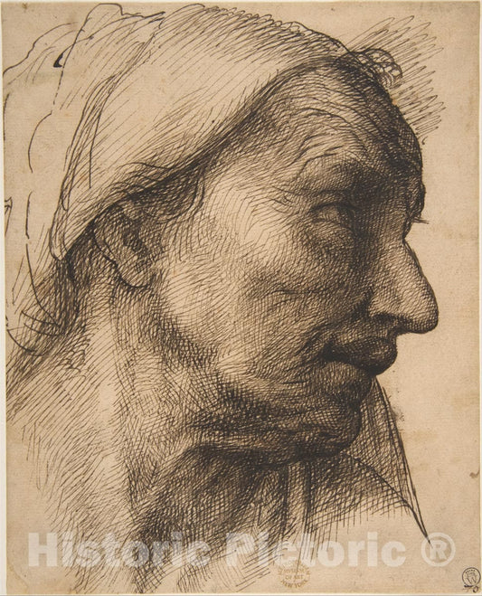 Art Print : Sebastiano del Piombo (Sebastiano Luciani) - Head of an Old Woman : Vintage Wall Art