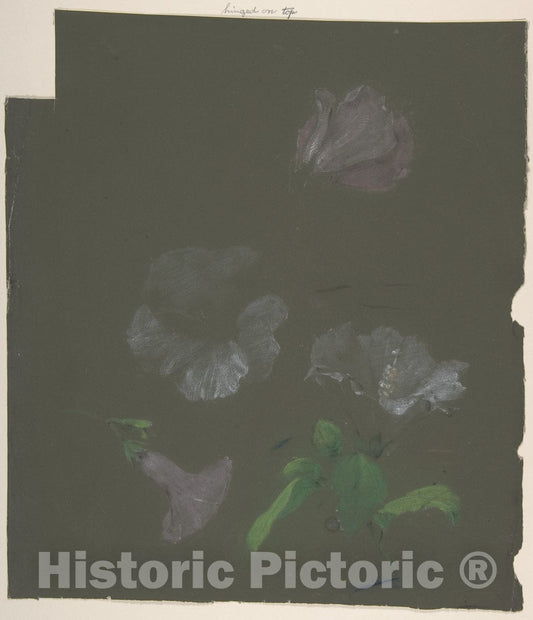 Art Print : Antoine Berjon - Floral Design - 431643 : Vintage Wall Art