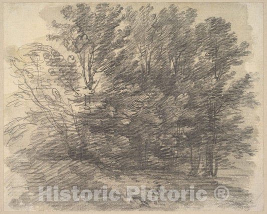 Art Print : Thomas Gainsborough - A Clump of Trees : Vintage Wall Art
