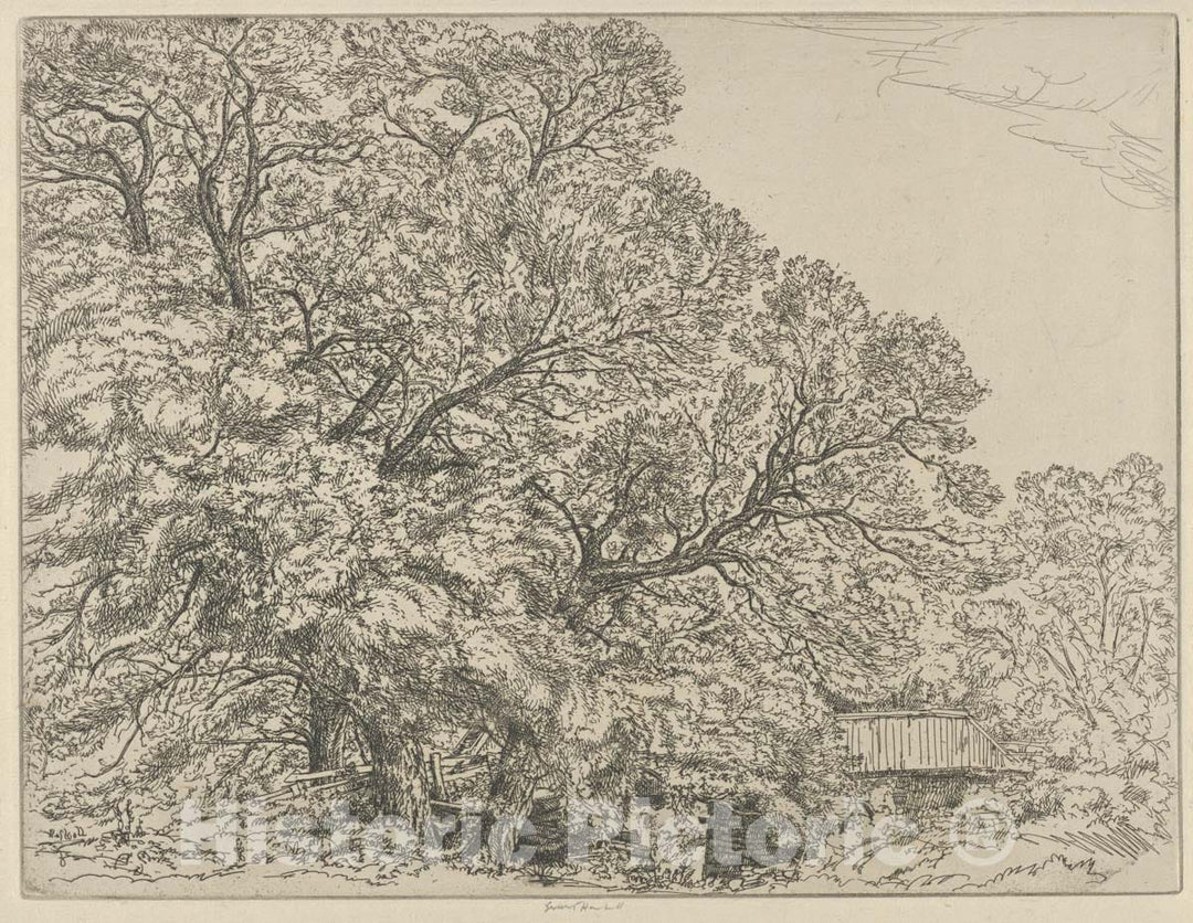 Art Print : Ernest Haskell - Alna Willows : Vintage Wall Art