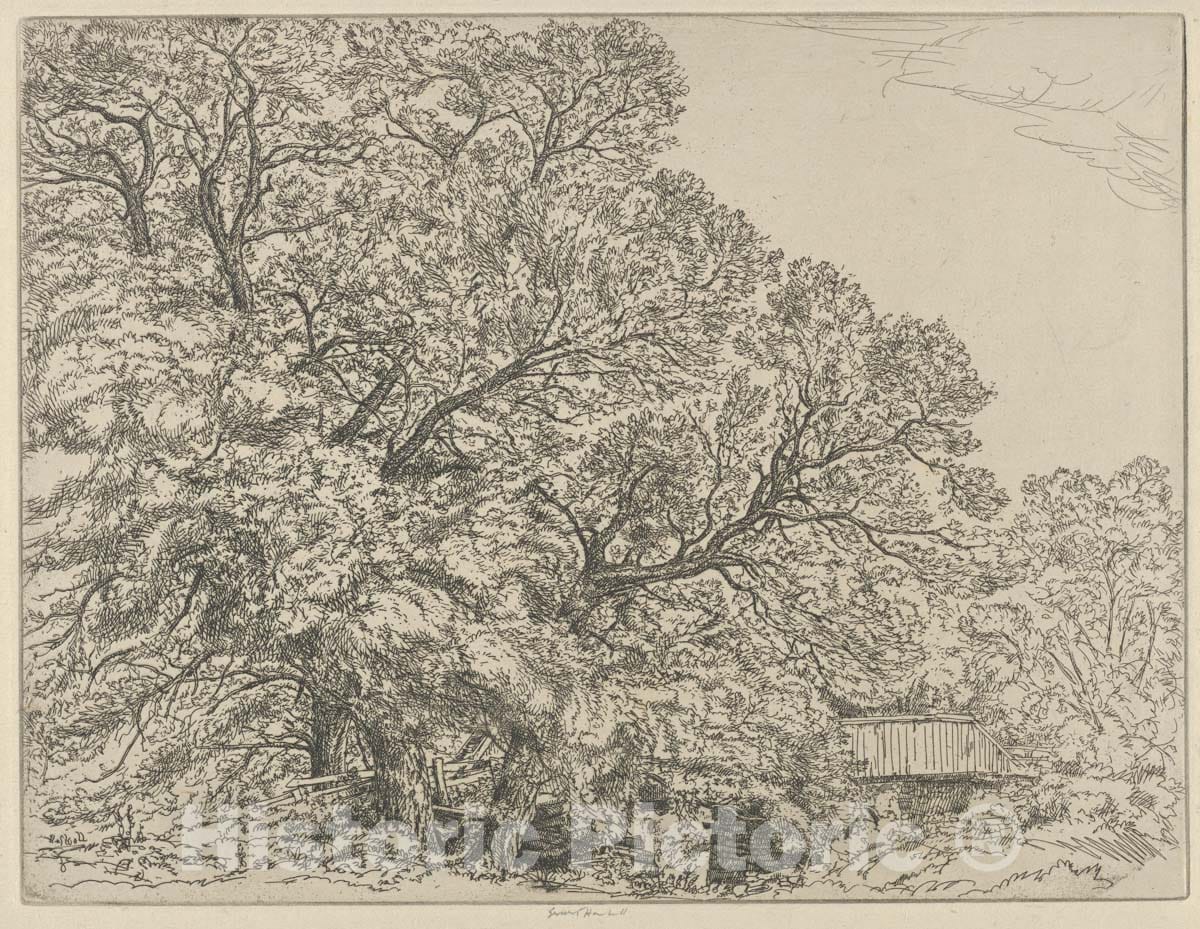 Art Print : Ernest Haskell - Alna Willows : Vintage Wall Art