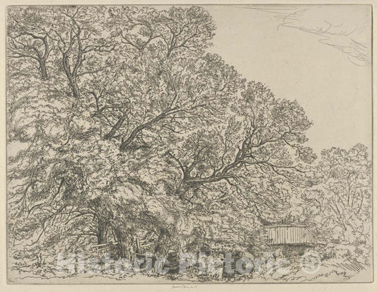 Art Print : Ernest Haskell - Alna Willows : Vintage Wall Art