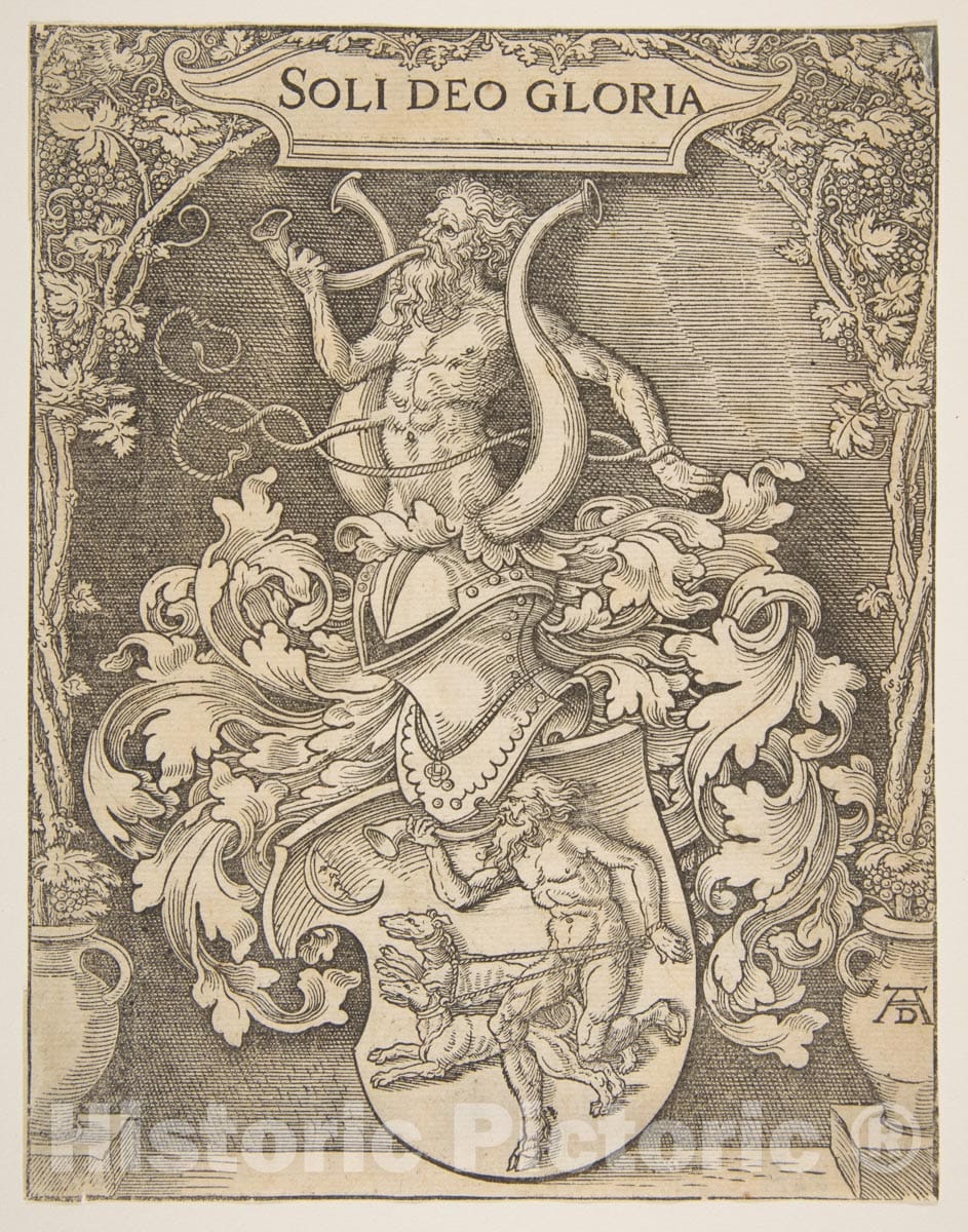 Art Print : Albrecht Dürer - The Arms of Johann Tscherte : Vintage Wall Art