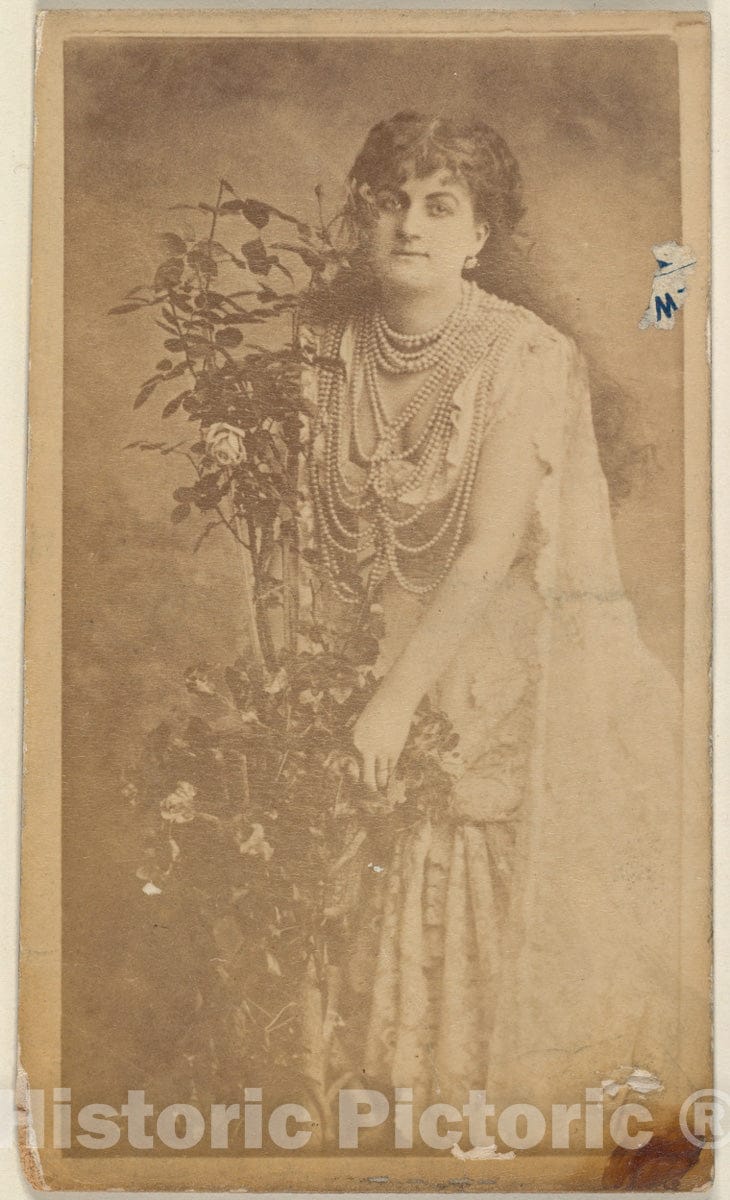 Photo Print : Actress Holding Floral Vines, from The Actresses Series (N668) : Vintage Wall Art