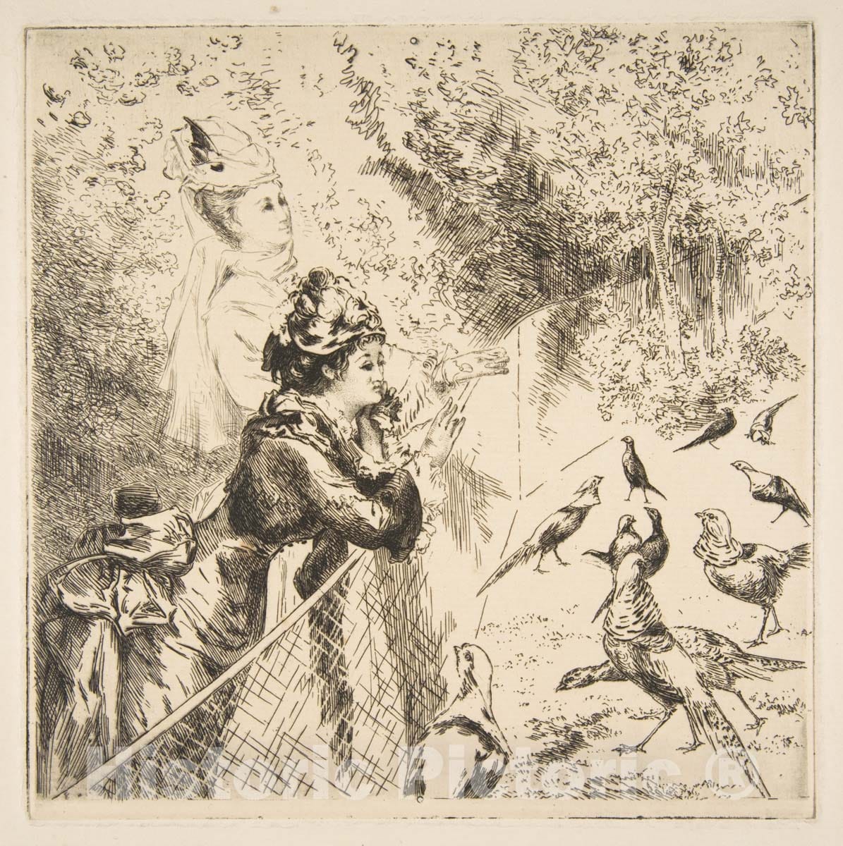 Art Print : Félix Bracquemond - Au Jardin d'acclimatation : Vintage Wall Art