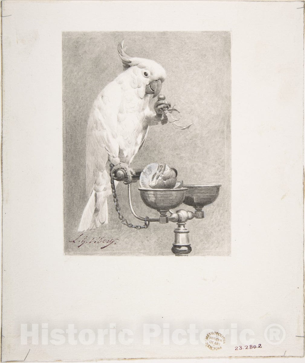 Art Print : Jean-Georges Vibert - The Sedate Parrot : Vintage Wall Art