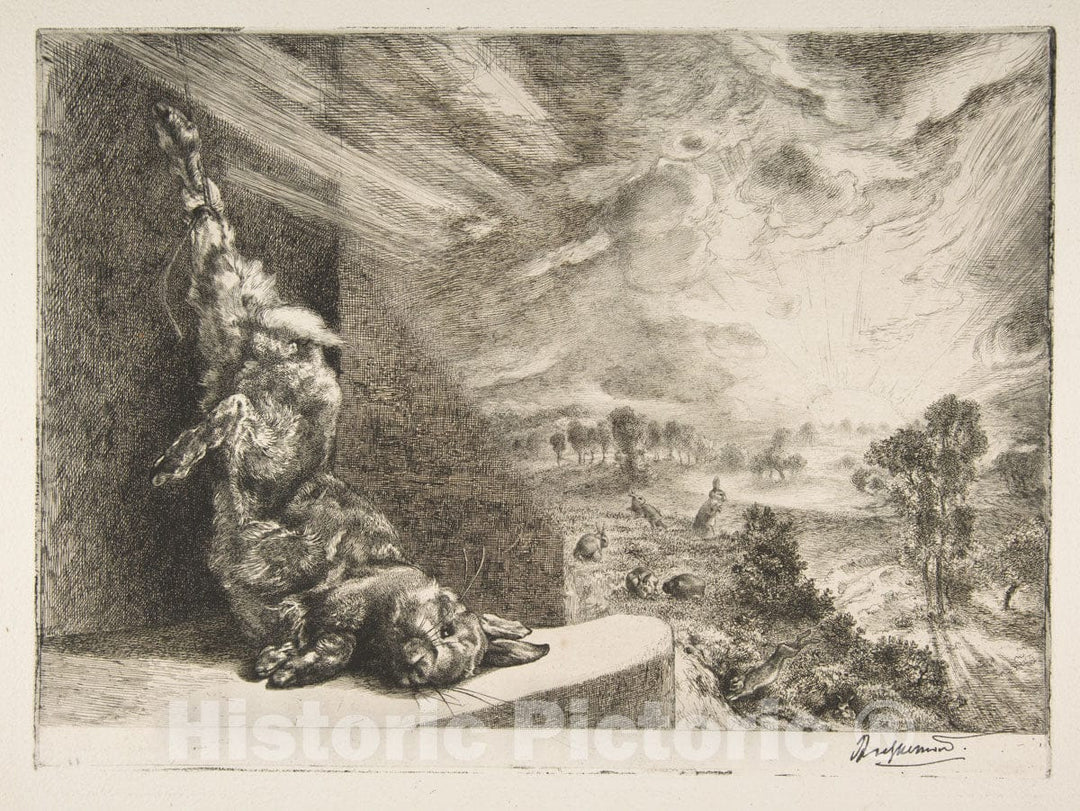 Art Print : Félix Bracquemond - Le Lapin de Garenne : Vintage Wall Art
