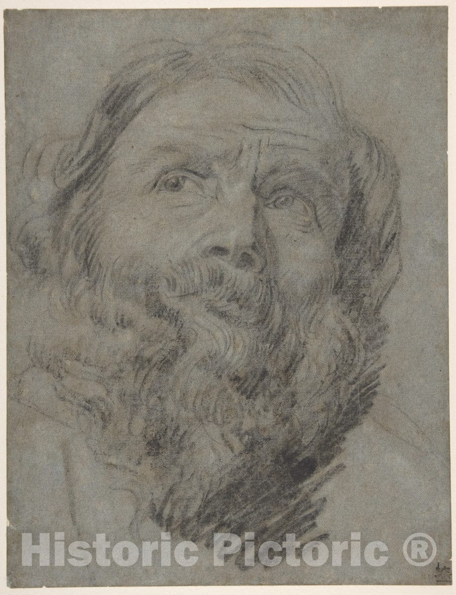 Art Print : Circle of Anthony Van Dyck - Head of an Apostle : Vintage Wall Art