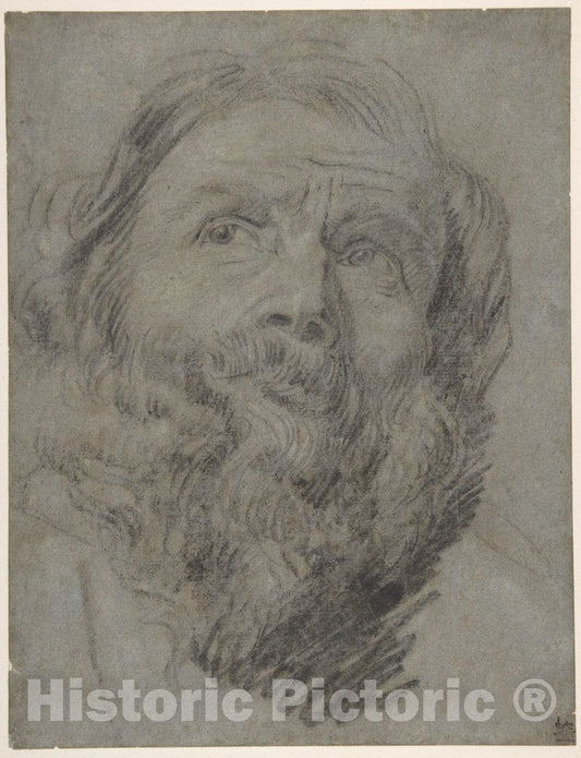 Art Print : Circle of Anthony Van Dyck - Head of an Apostle : Vintage Wall Art
