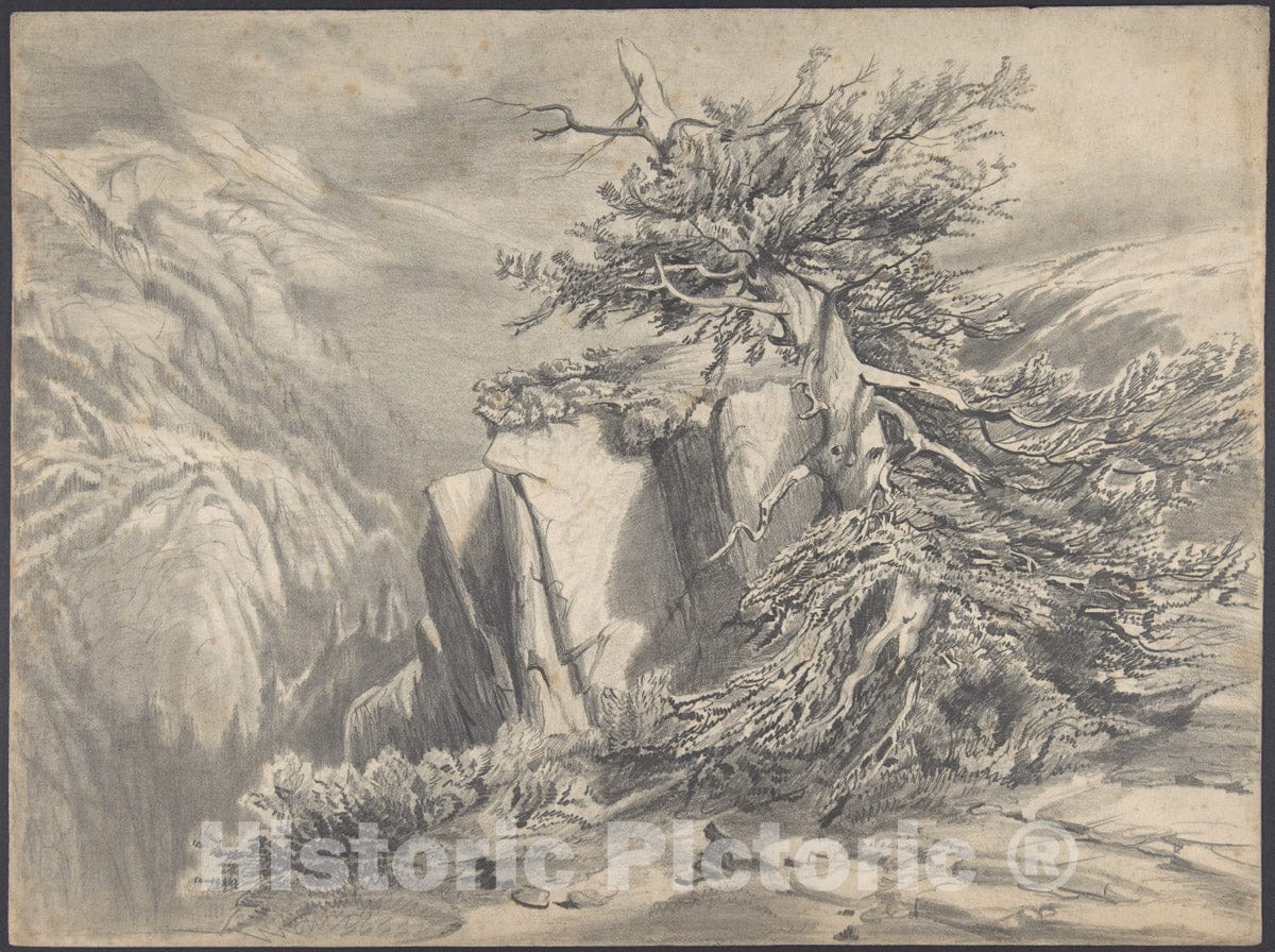 Art Print : Alexandre Calame - Broken Tree in Moutainous Landscape : Vintage Wall Art