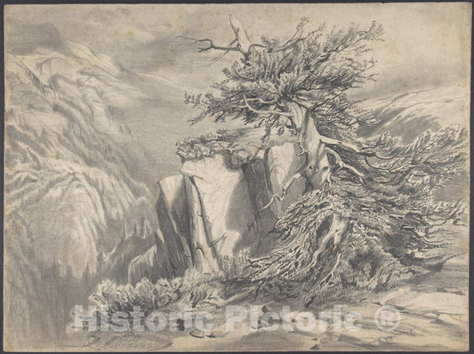 Art Print : Alexandre Calame - Broken Tree in Moutainous Landscape : Vintage Wall Art