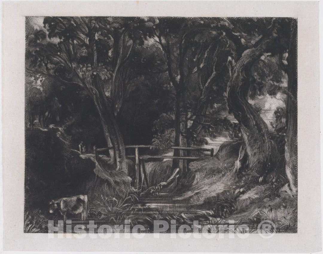 Art Print : David Lucas - A Dell, Helmingham Park, Suffolk 6 : Vintage Wall Art