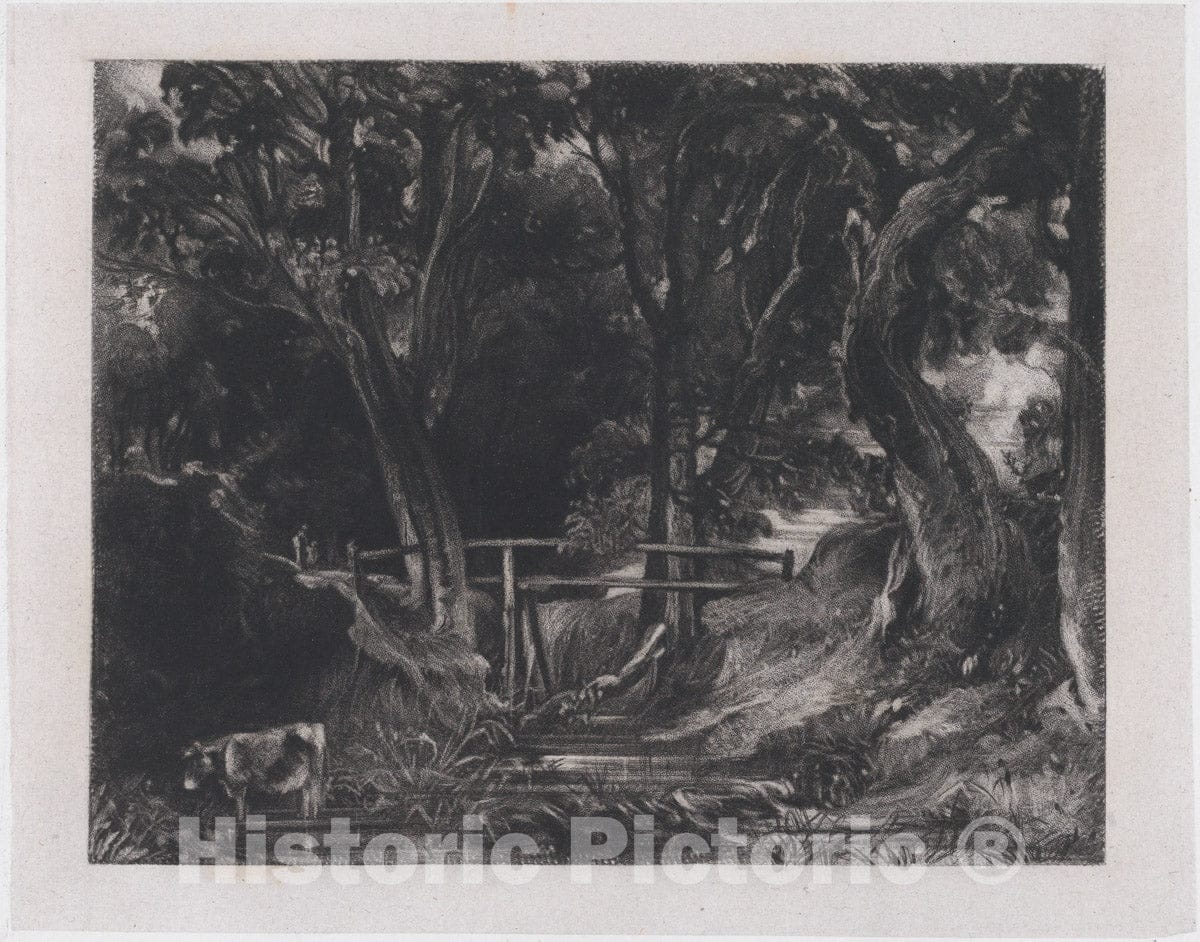 Art Print : David Lucas - A Dell, Helmingham Park, Suffolk 6 : Vintage Wall Art