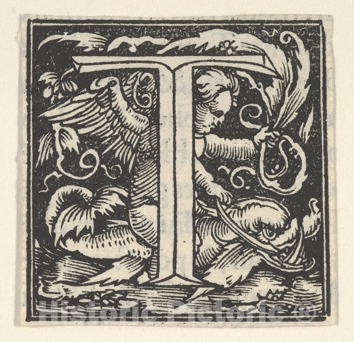 Art Print : Heinrich Vogtherr The Elder - Initial Letter T with putto : Vintage Wall Art