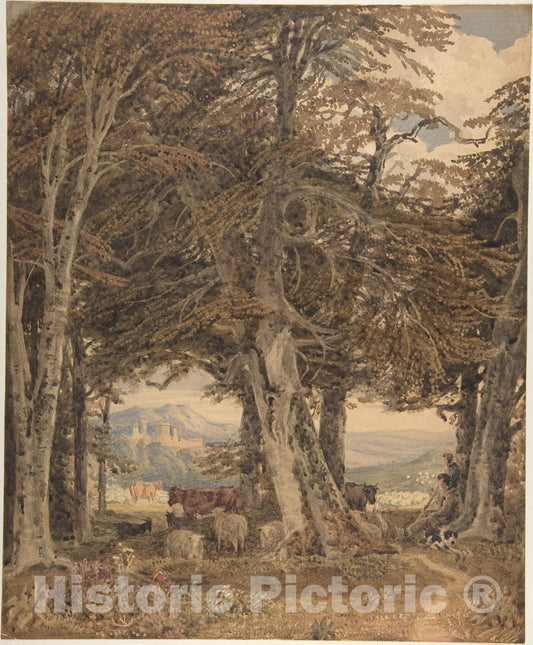 Art Print : George Barret, The Younger - Cattle and Sheep at Resting at The Edge of a Forest : Vintage Wall Art