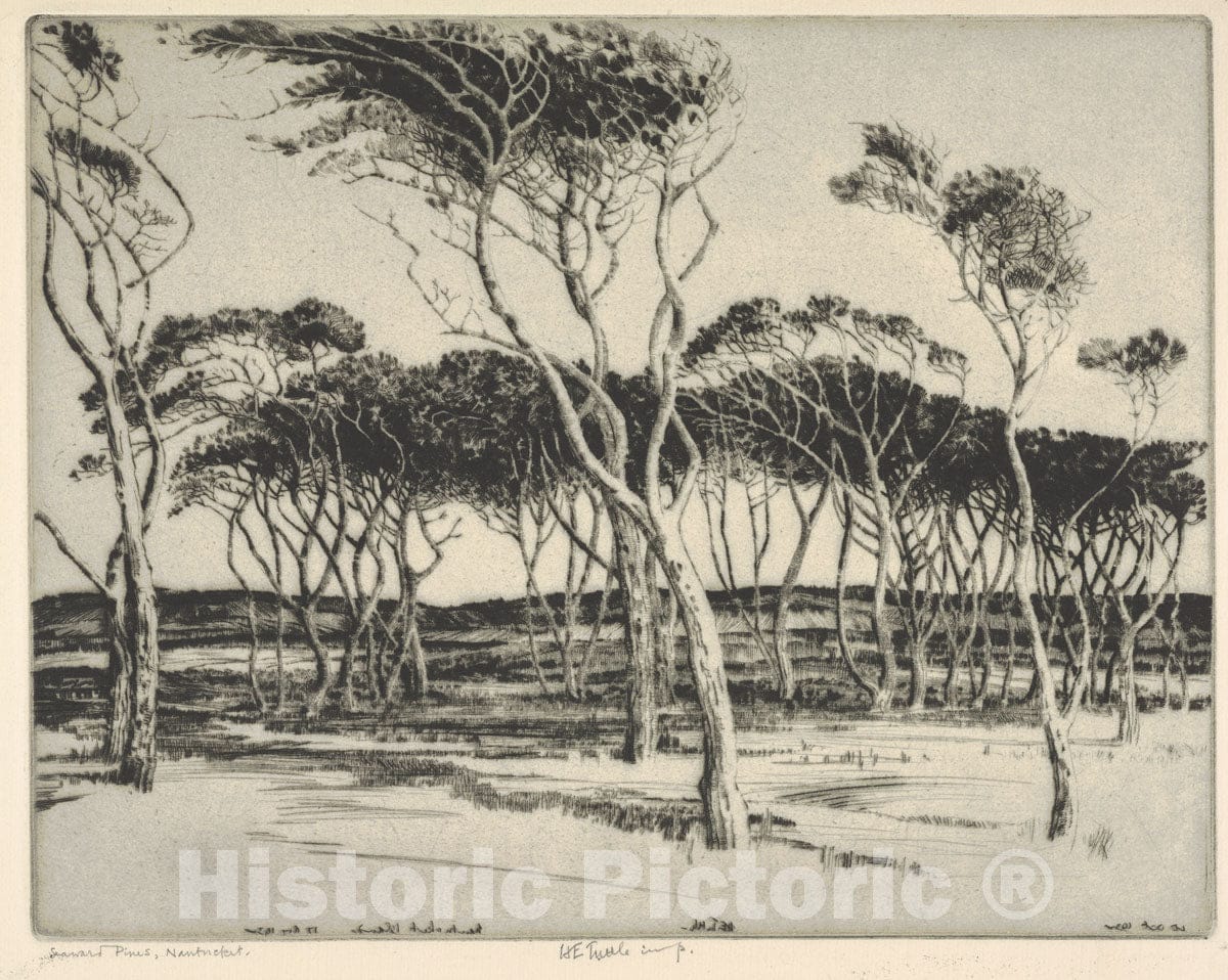 Art Print : Henry Emerson Tuttle - Seaward Pines, Nantucket : Vintage Wall Art