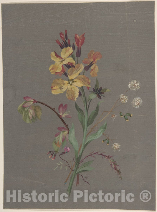 Art Print : Antoine Berjon - Floral Design - 432178 : Vintage Wall Art
