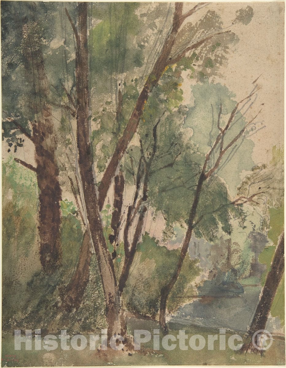 Art Print : Louis-Antoine-Léon Riesener - Trees Beside a Pond : Vintage Wall Art