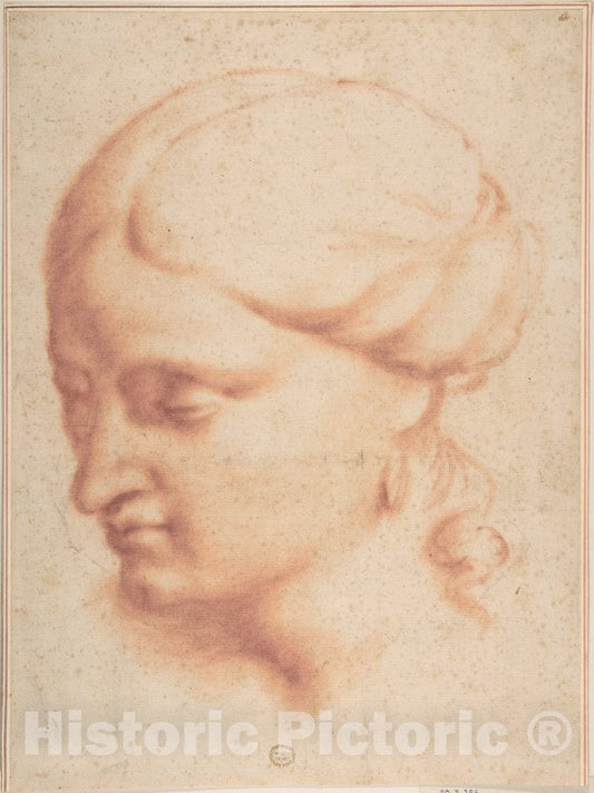 Art Print : Italian, Roman-Bolognese, 17th Century - Head of a Woman : Vintage Wall Art