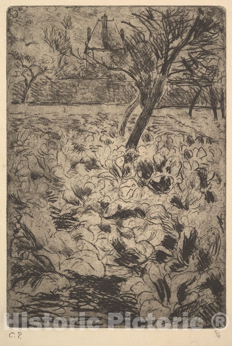 Art Print : Camille Pissarro - The Cabbage Field : Vintage Wall Art