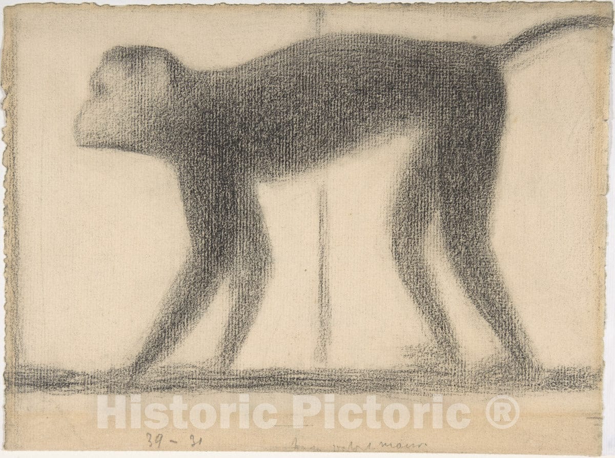 Art Print : Georges Seurat - Monkey : Vintage Wall Art