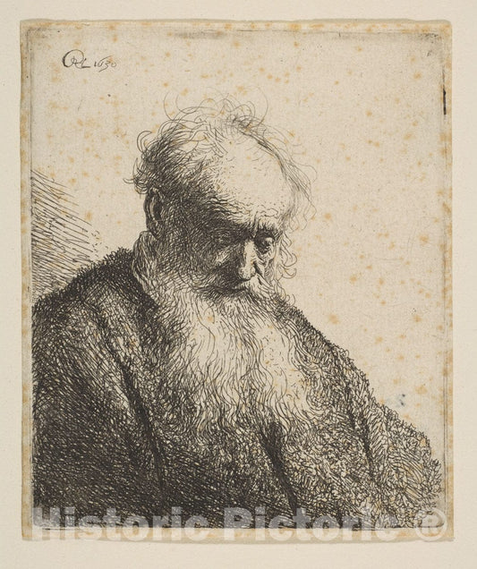 Art Print : Rembrandt (Rembrandt Van Rijn) - Bust of an Old Man with Flowing Beard: The Head Inclined Three-Quarters Right : Vintage Wall Art