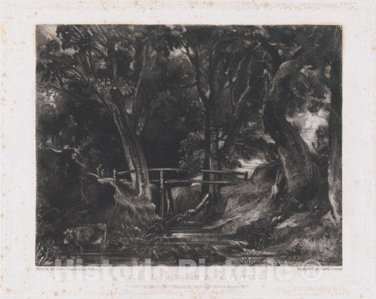 Art Print : David Lucas - A Dell, Helmingham Park, Suffolk 7 : Vintage Wall Art