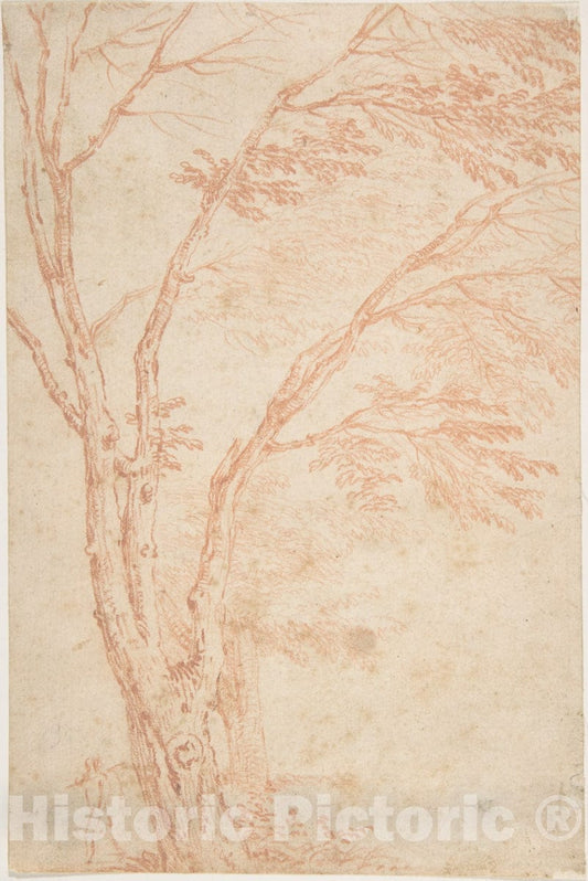 Art Print : French, 18th Century - A Tree and Figure : Vintage Wall Art
