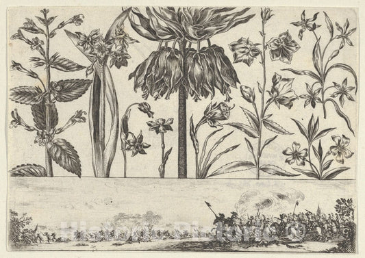 Art Print : Nicolas Cochin - Horizontal Panel with a Row of Flowers Above a Frieze with a Battle Scene in a Landscape, from Livre Nouveau de Fleurs Tres-Util 3 : Vintage Wall Art