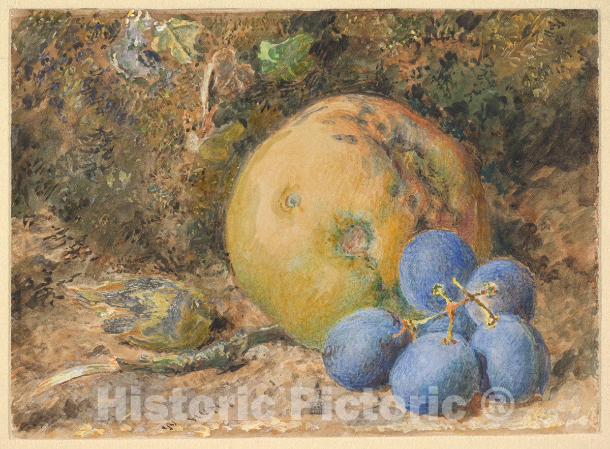 Art Print : William Henry Hunt - an Apple, Grapes and a Hazelnut on a Mossy Bank : Vintage Wall Art